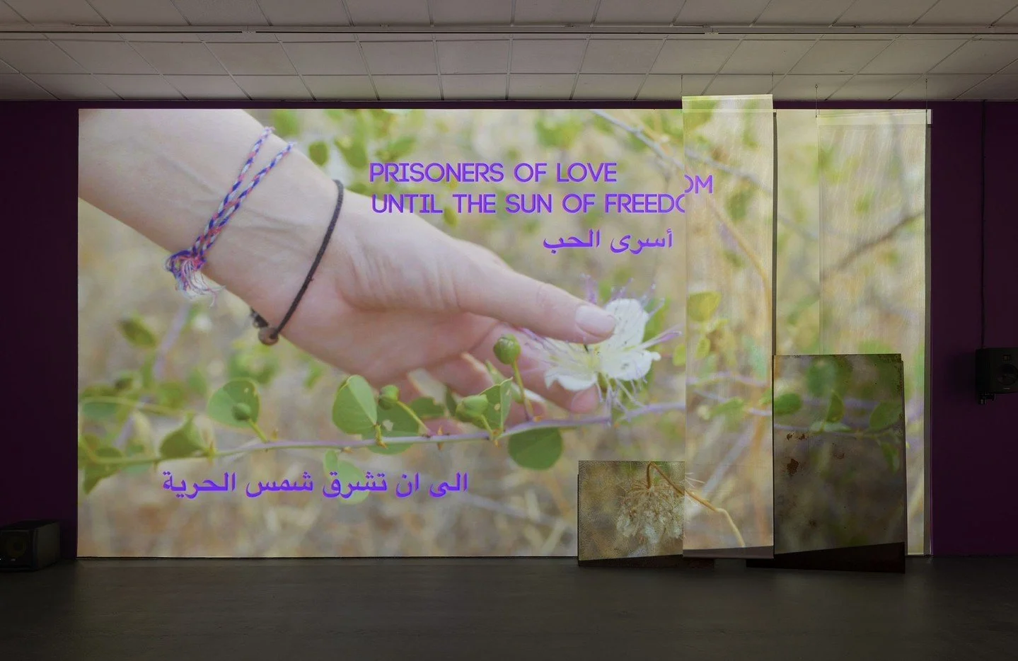 Thank you @artforum for featuring "Performing Conditions: Artistic Labor and Dependency as Form" at @mitlistarts and "Prisoners of Love: Until the Sun of Freedom" at @bellgallerybrown.⁠
⁠
"In a cultural climate defined by unc