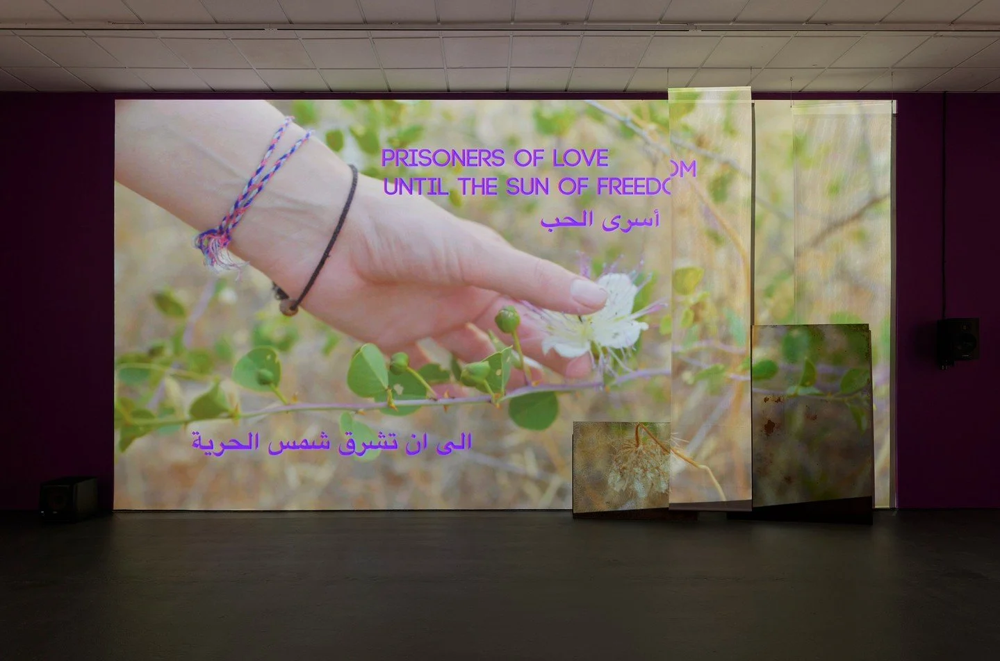 Looking back to the review in @artreview_magazine by @safflower_lady on"Prisoners of Love: Until the Sun of Freedom" at @bellgallerybrown ⁠by artists Basel Abbas and Ruanne Abou-Rahme.⁠
⁠
"French philosopher Michel Foucault stated duri