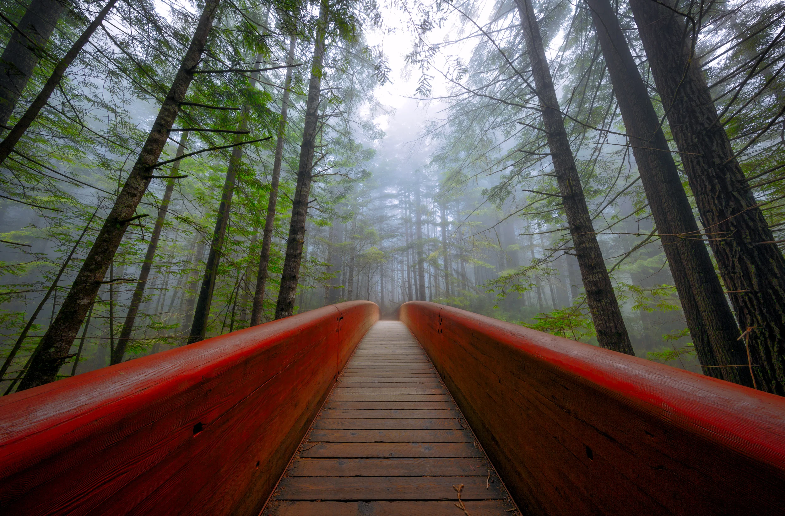 Redwood National Park, California