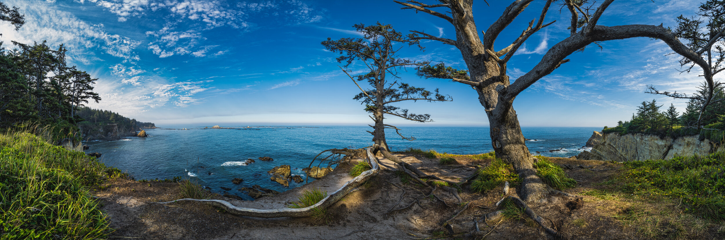 Cape Arago, Oregon