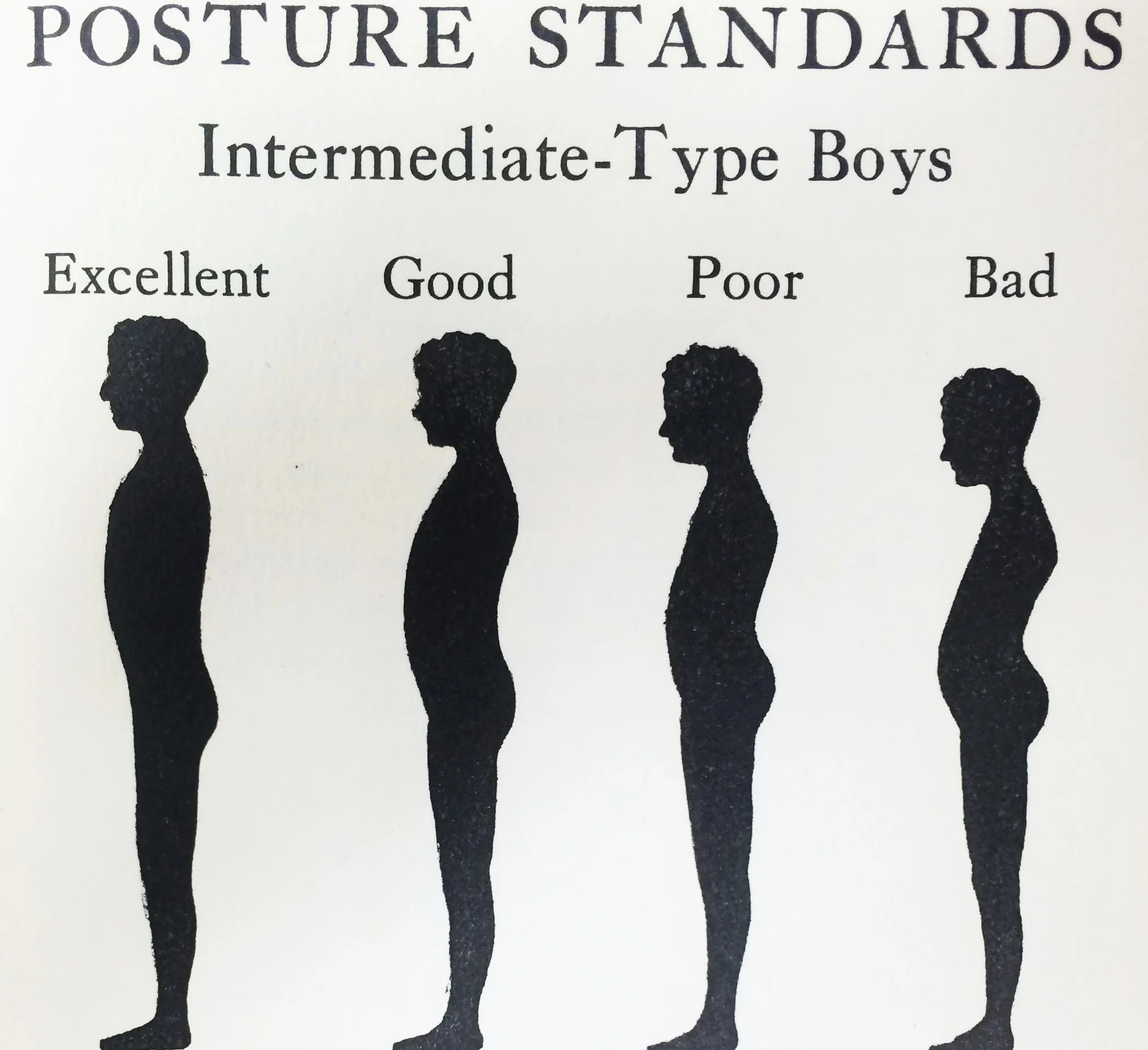 Artwork from Professor Osgood's 1930 Report