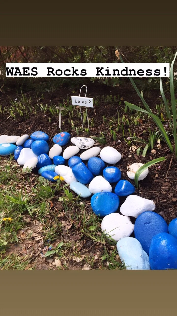 Calling All Wildcats to Participate in Art Installation!