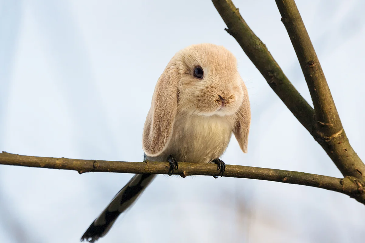 Burb.jpg