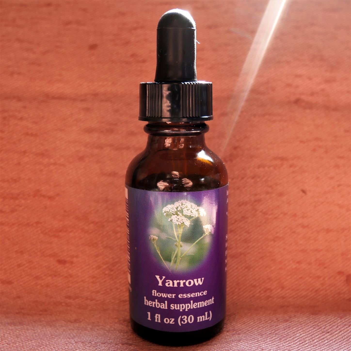 Yarrow floral essence Achillea millefolium — Elemental Activist