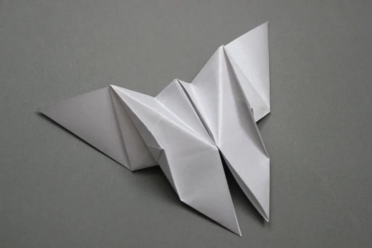 Foldability - Butterfly.jpeg