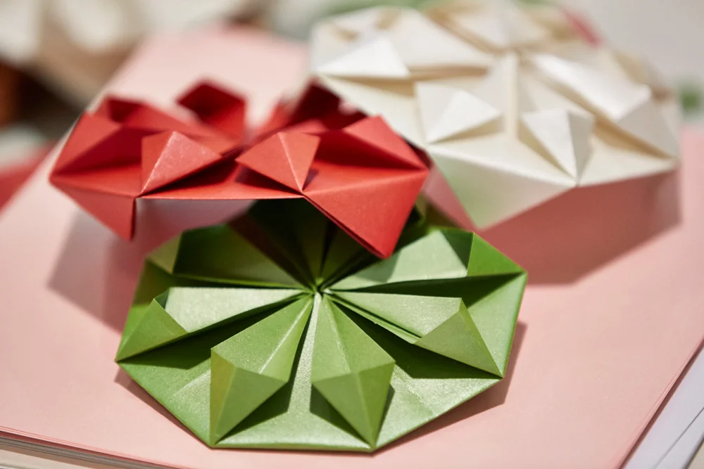 Foldability - Coloured flowers.jpg