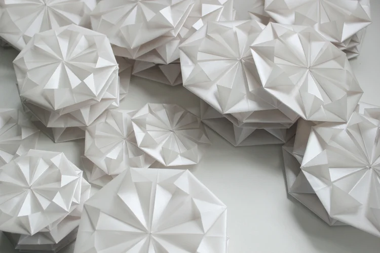 Foldability - White Flowers.jpeg