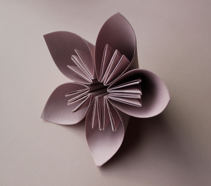Foldability - Pink Flower.JPG