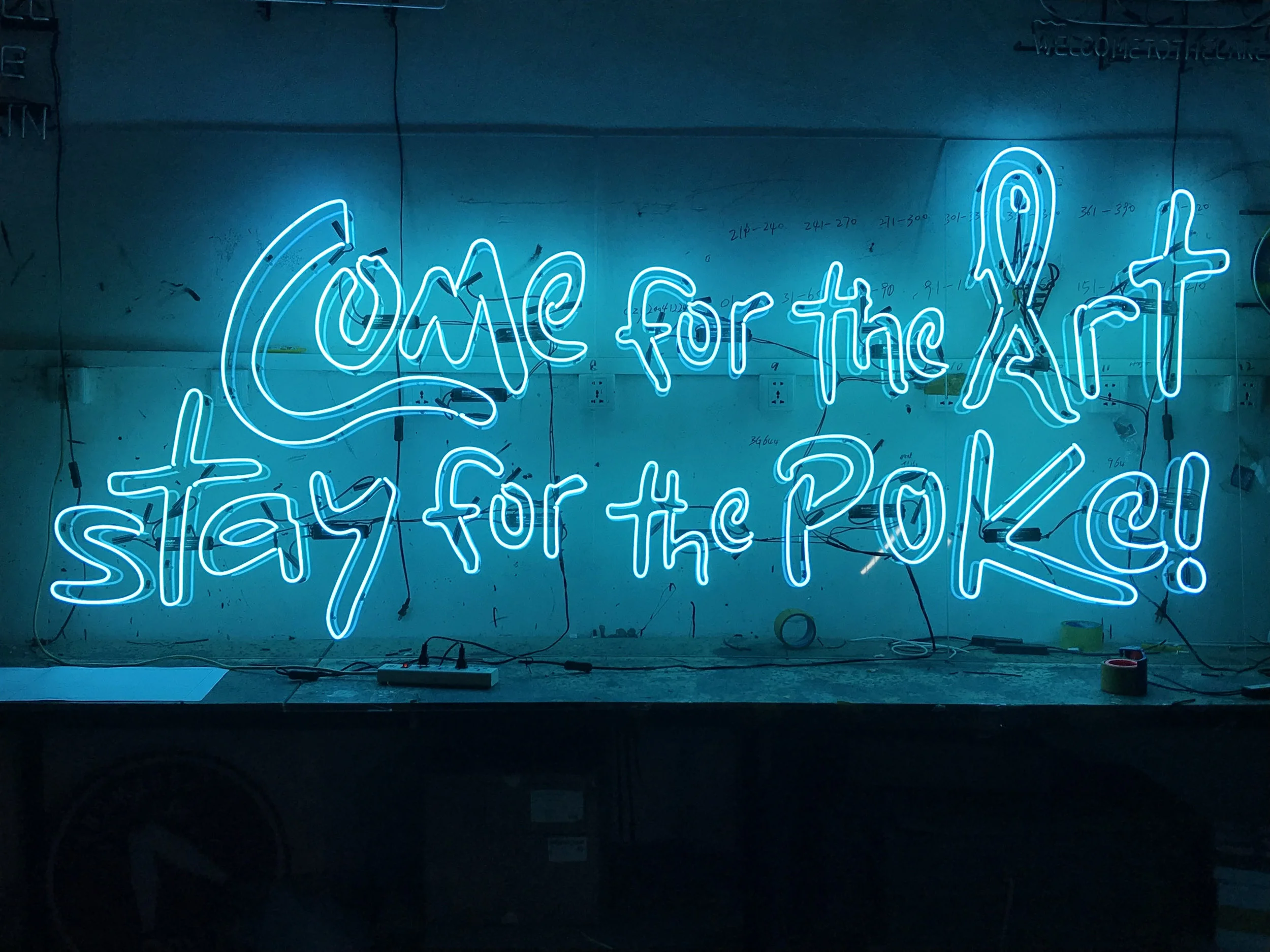 CameForTheArt.jpg