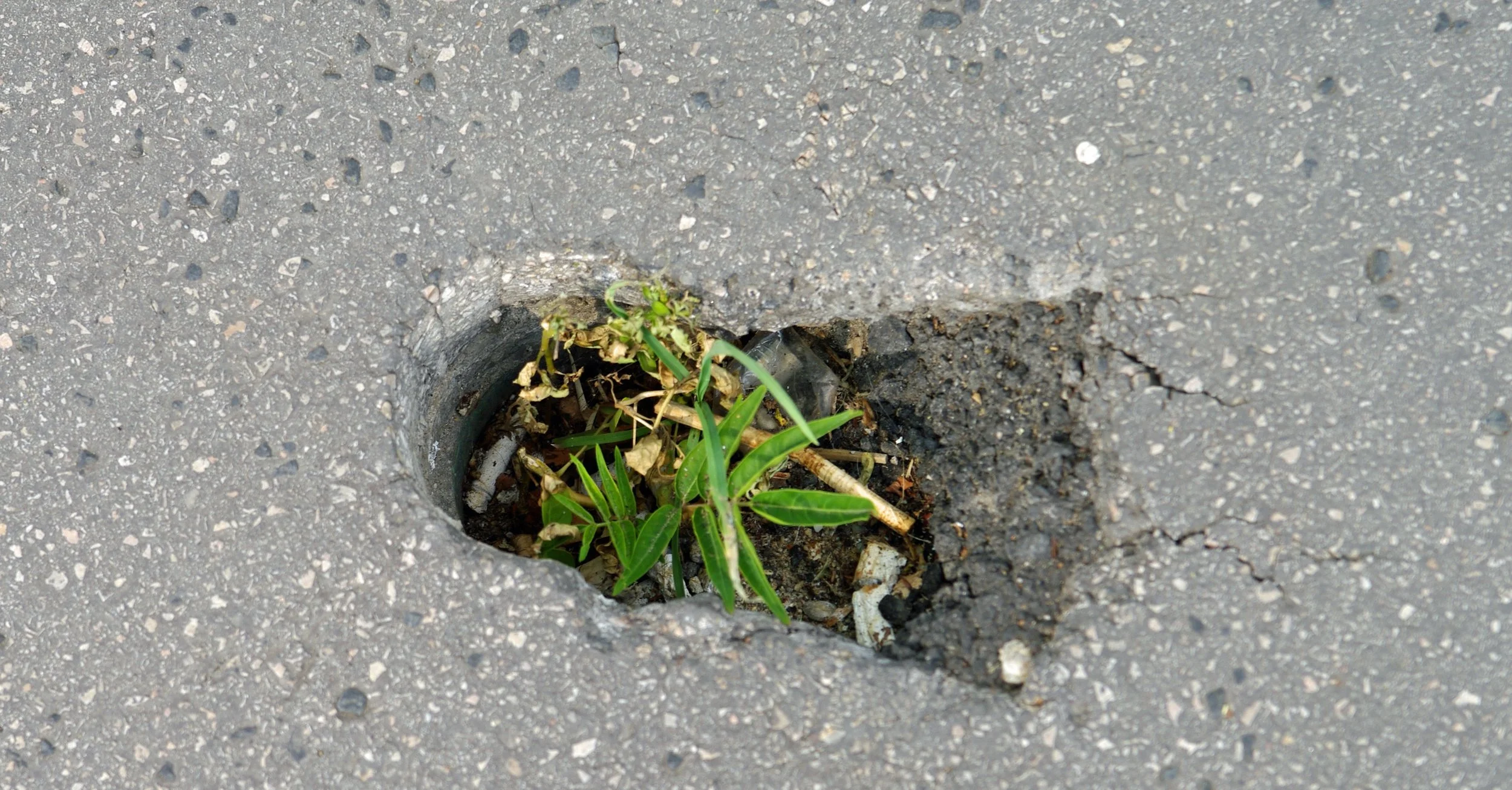 More Startups, But Fewer Breakthrough