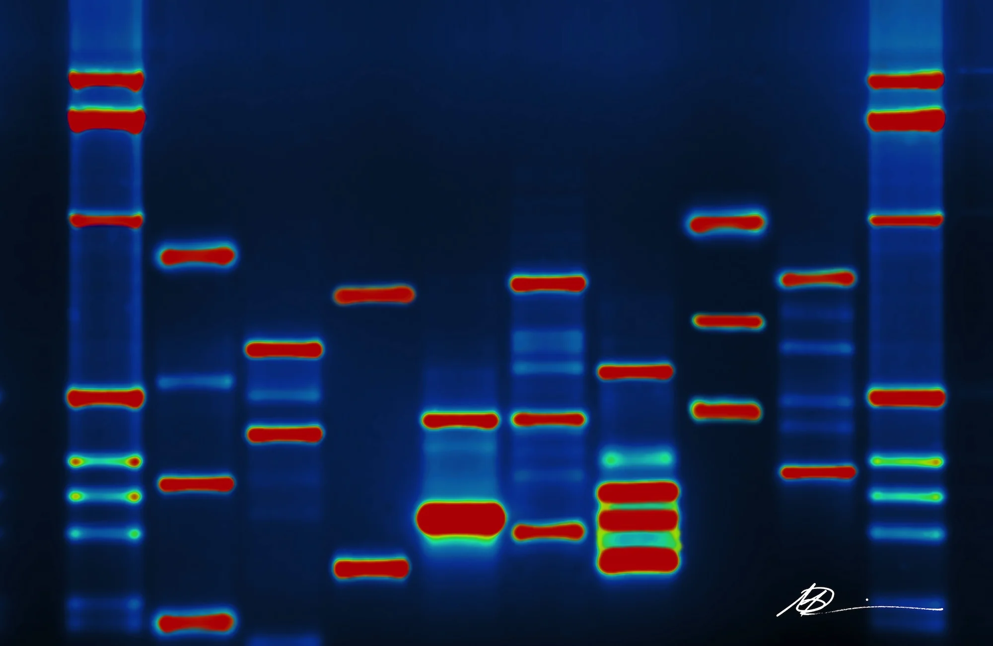 What is Your Leadership DNA?