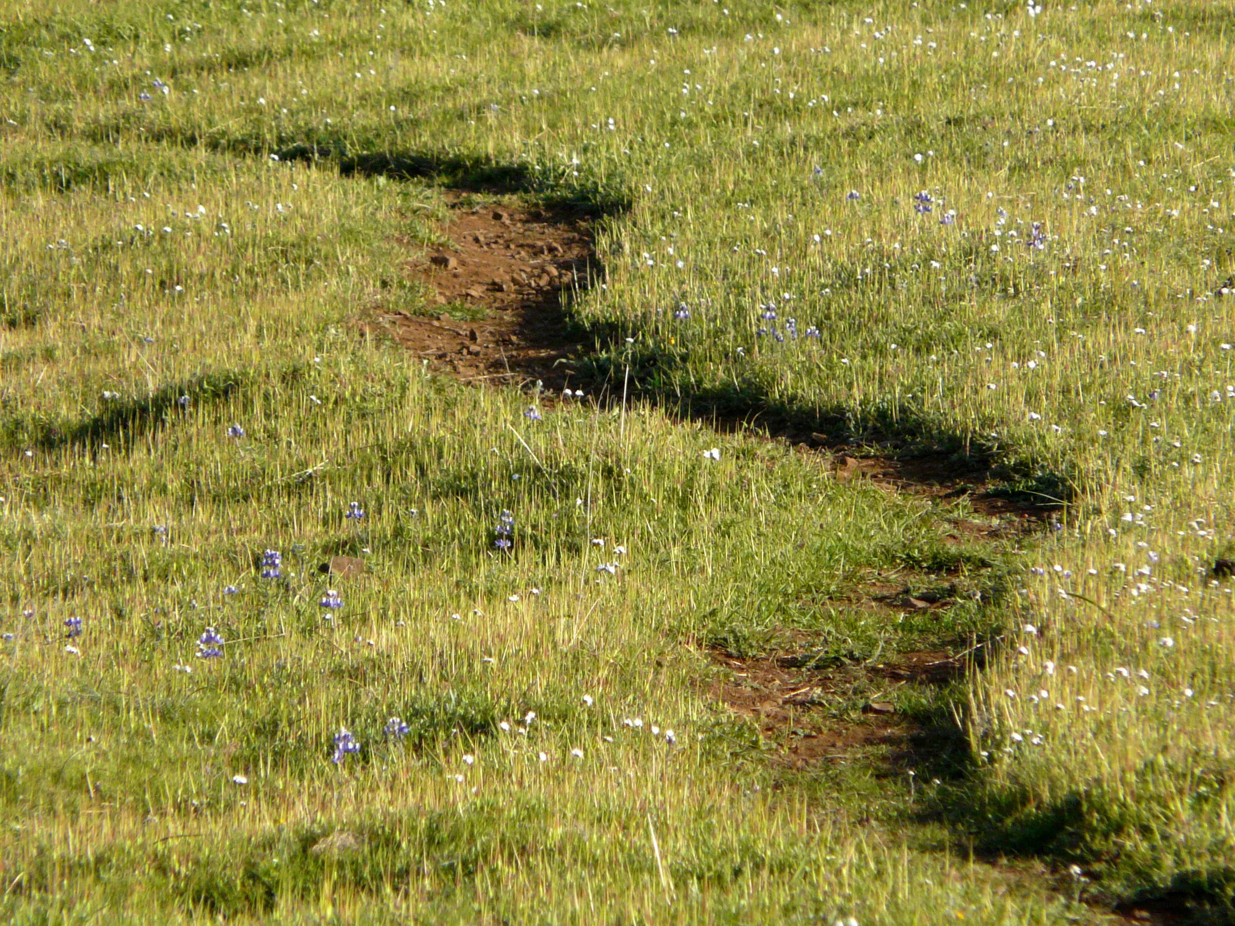 The Downside of Being a Creature of Habit