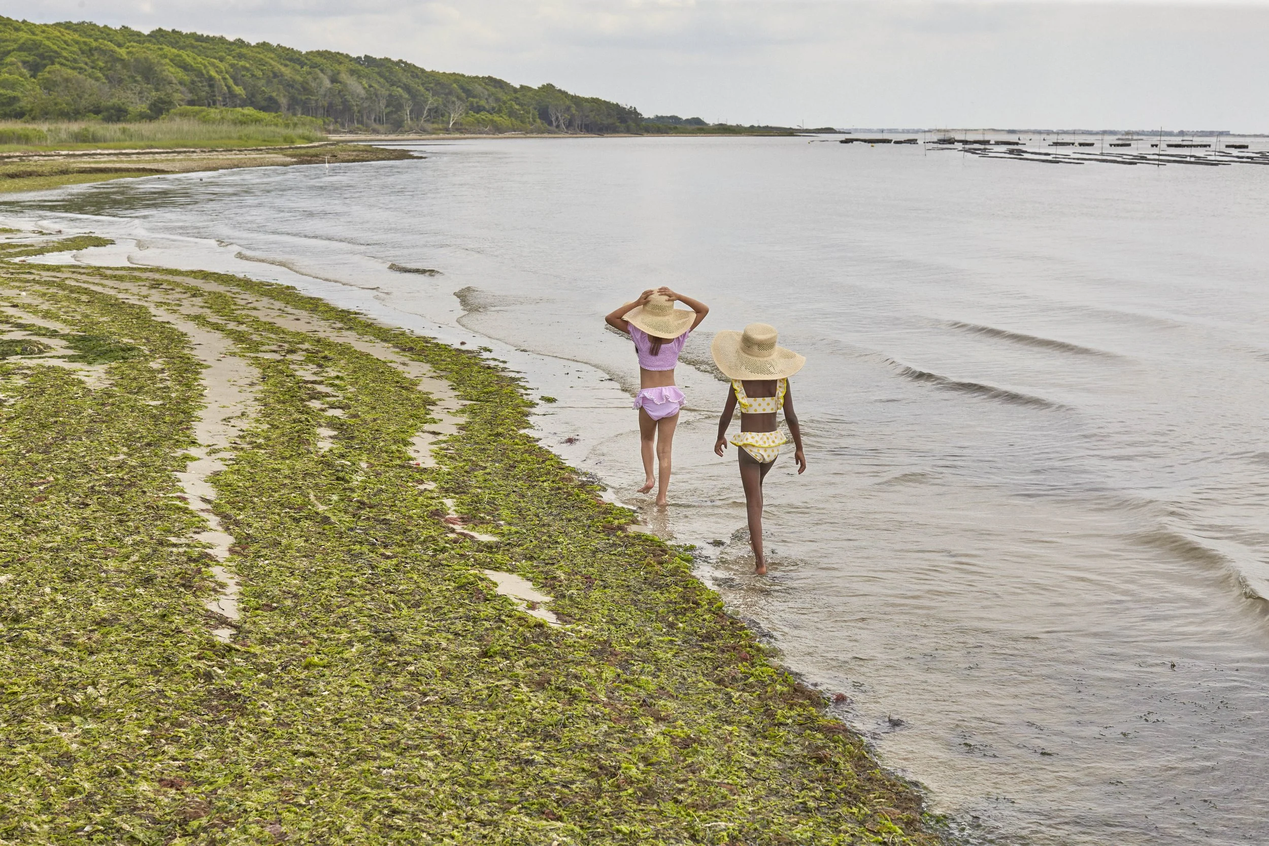 ￼￼ earnshaws_beach_2023_00178.jpg