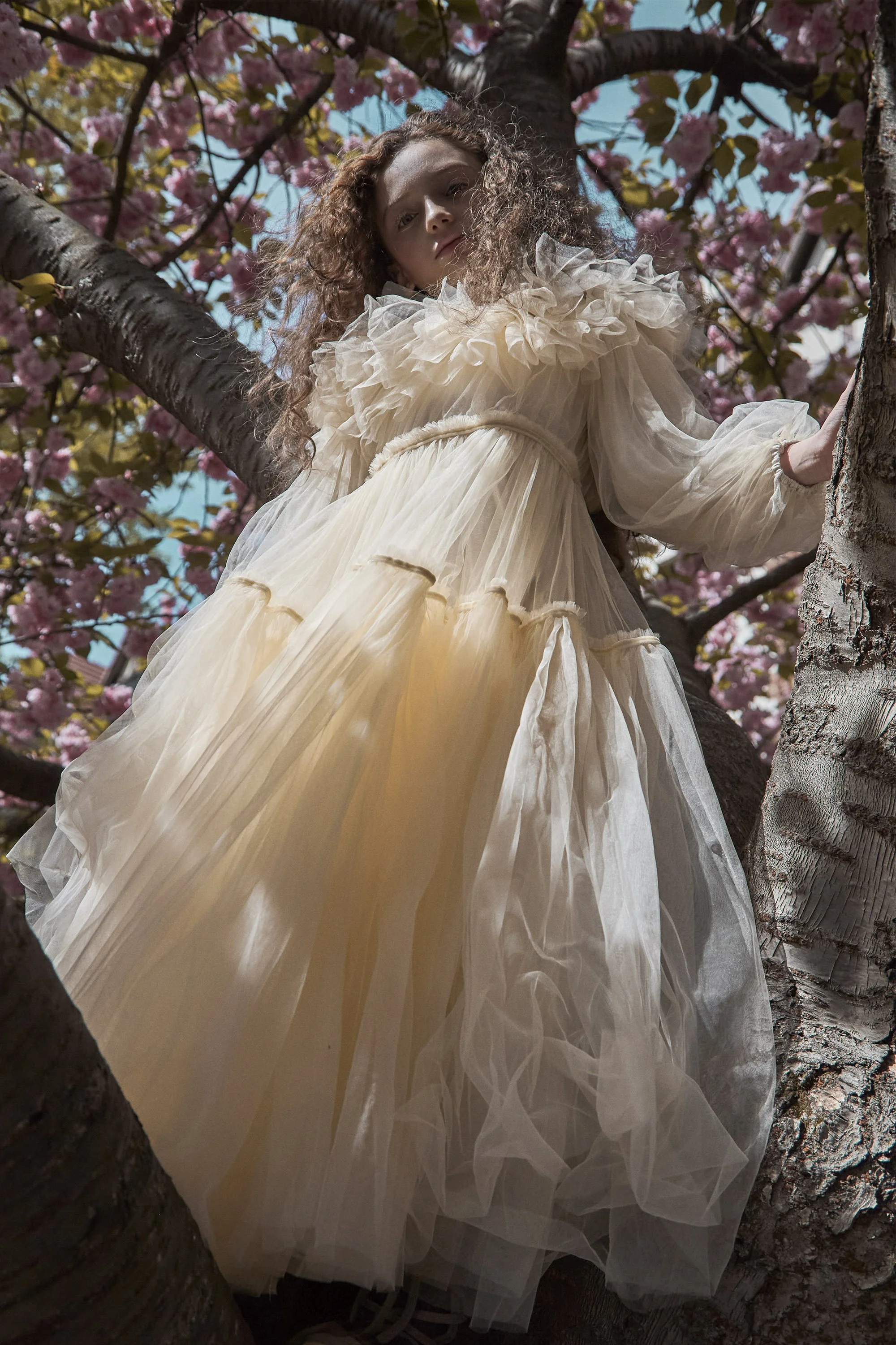 ALL IMAGES_377 2V2.jpg