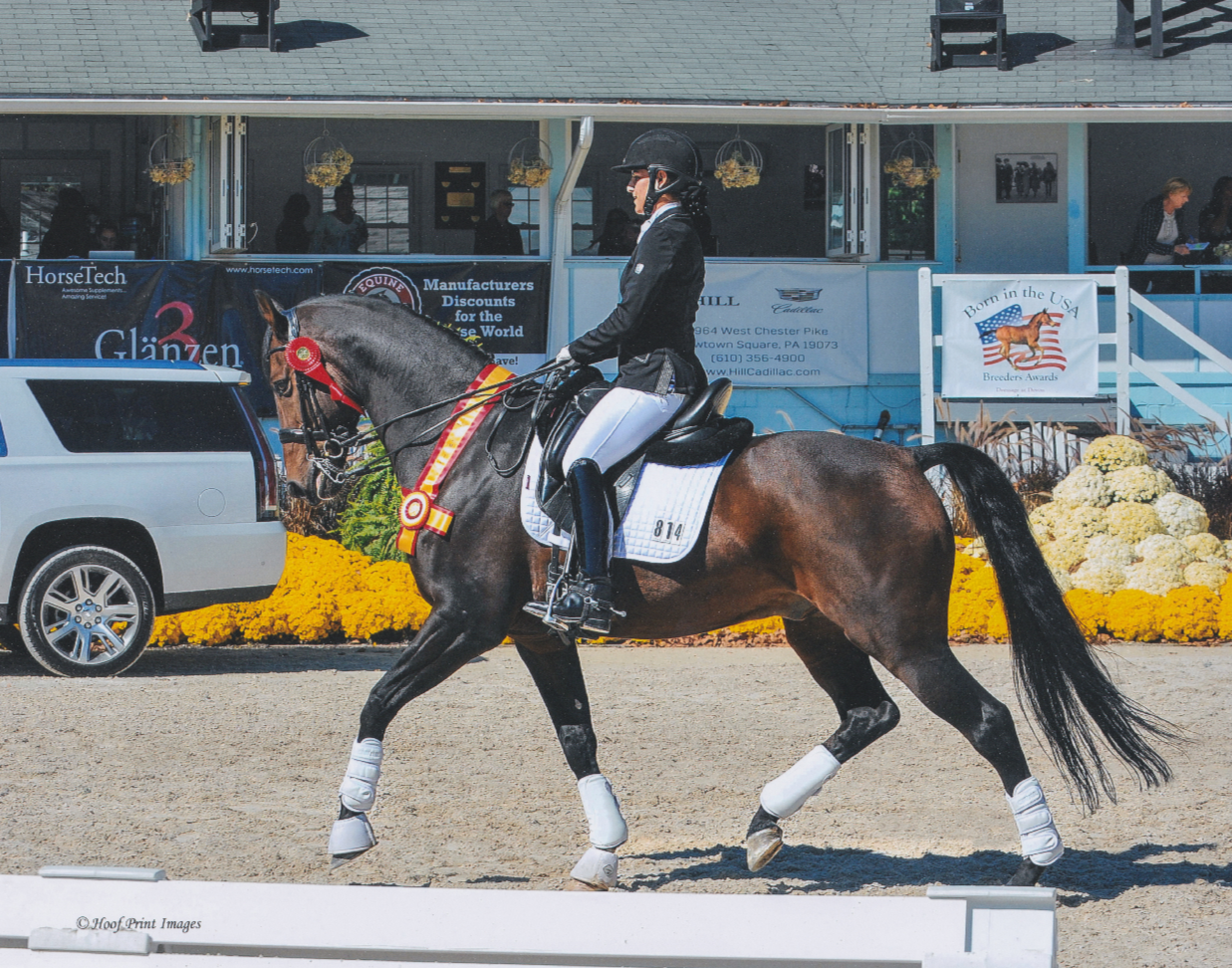 Maia and Benvica on their resrve champion victory lap at Dressage at Devon. (Photo by Hoofprint Images)