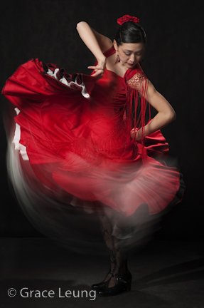 Intro Flamenco Course