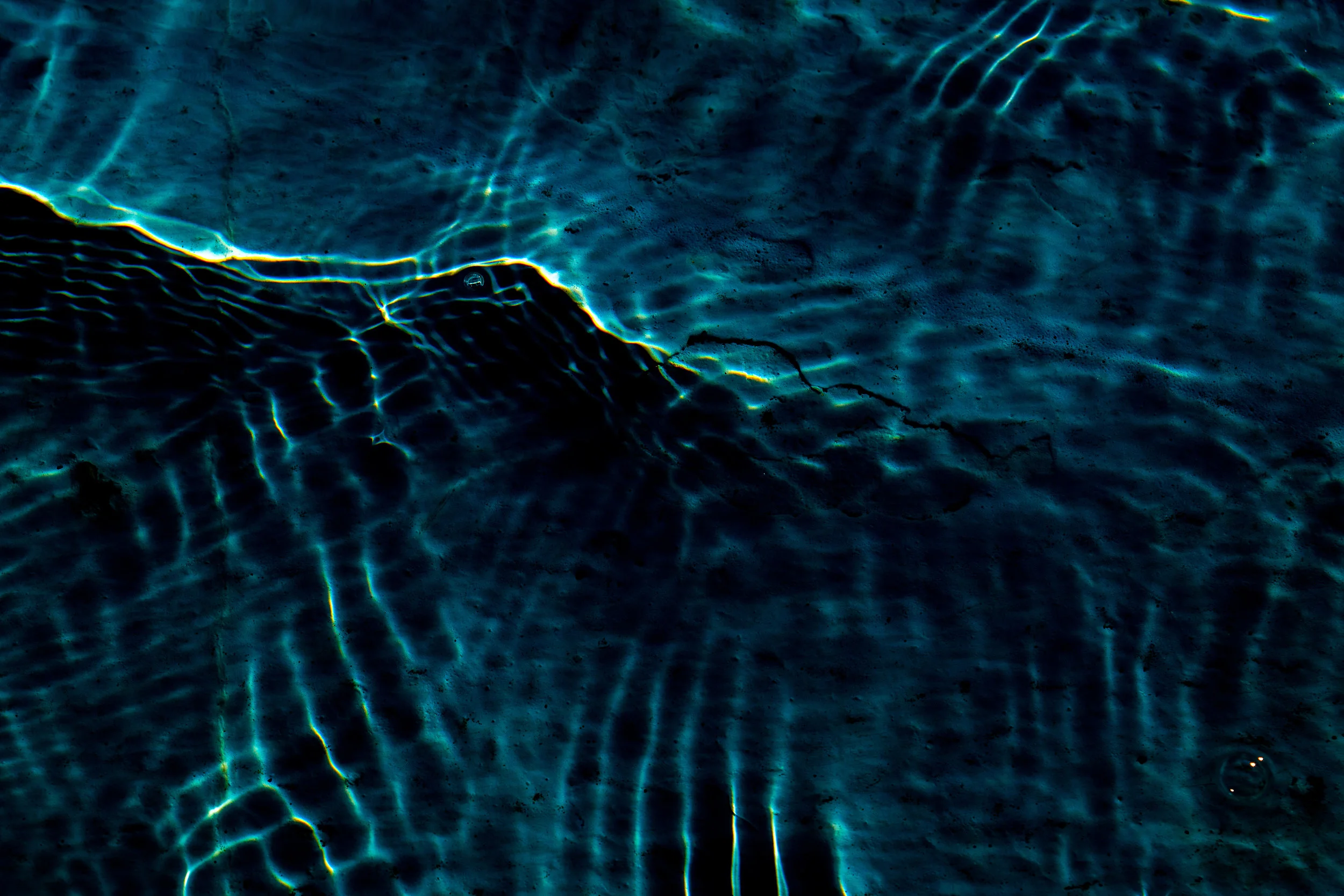 DSC_0072.jpg