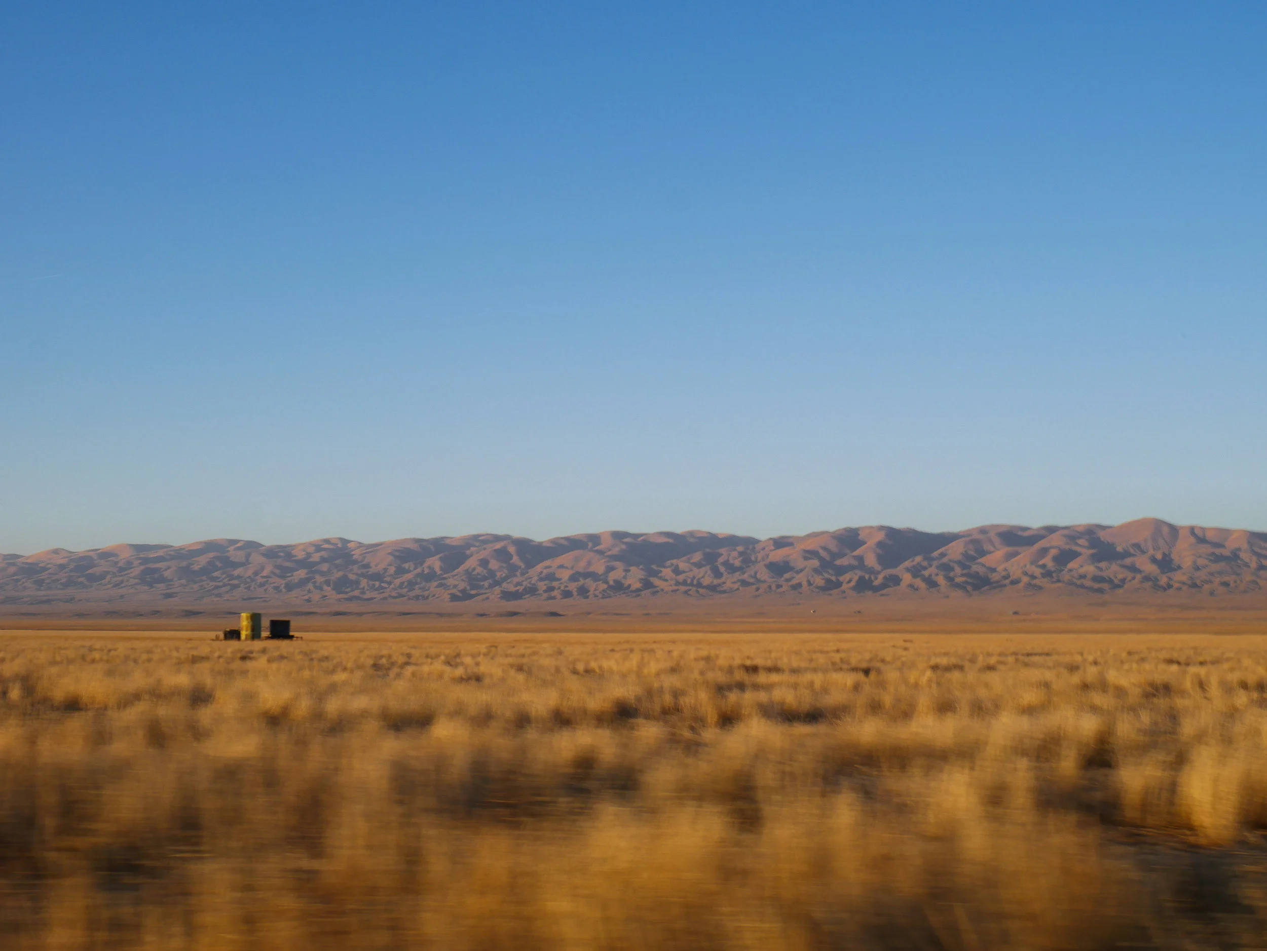 P1010545.jpg
