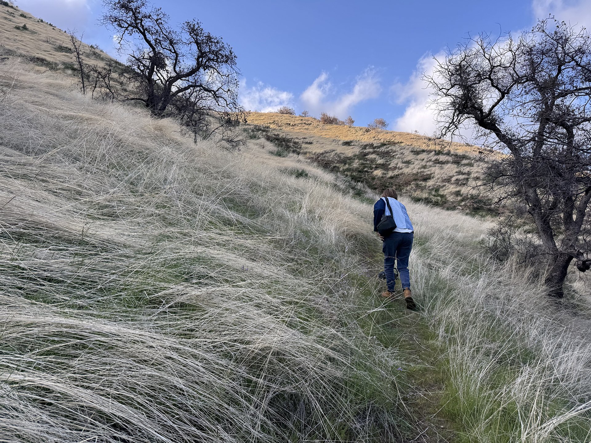 Copy of IMG_6084.jpeg