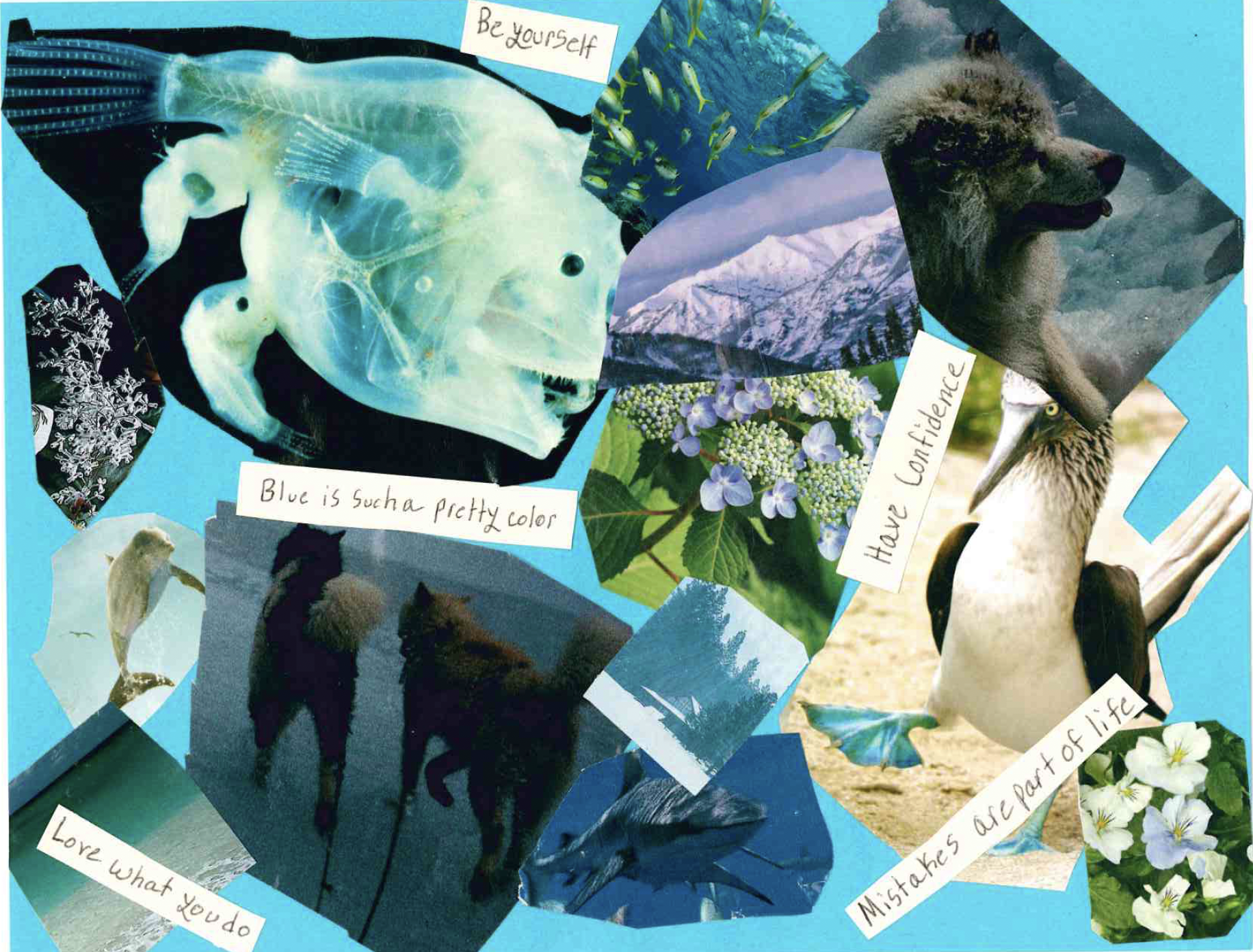 bluemindvisionboard.png