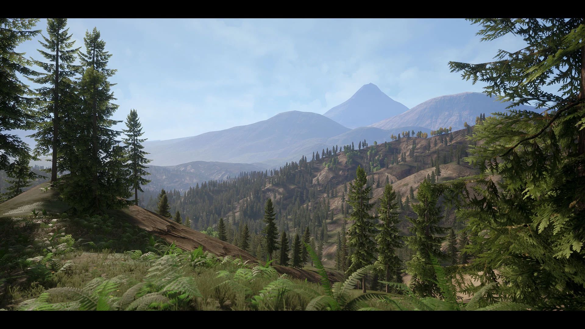 forestpk20.jpg
