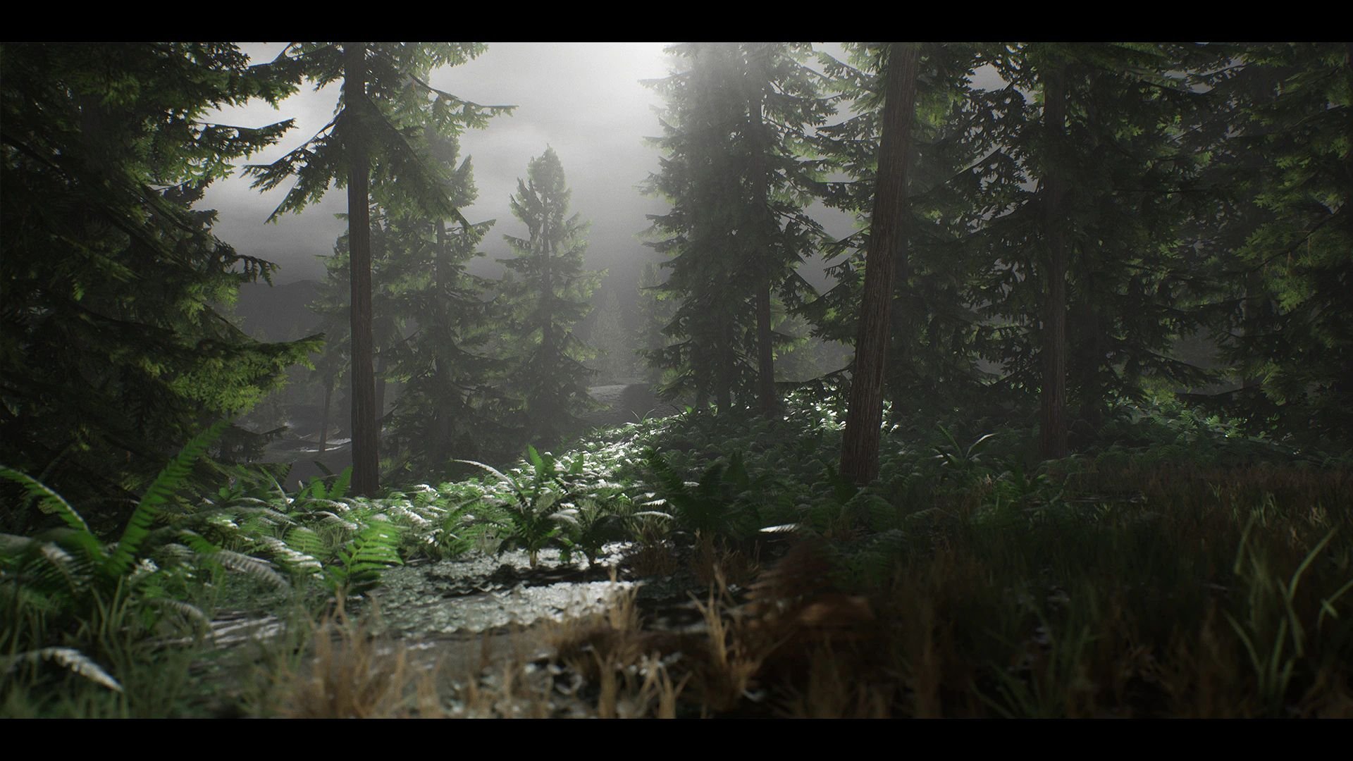 forestpk21.jpg