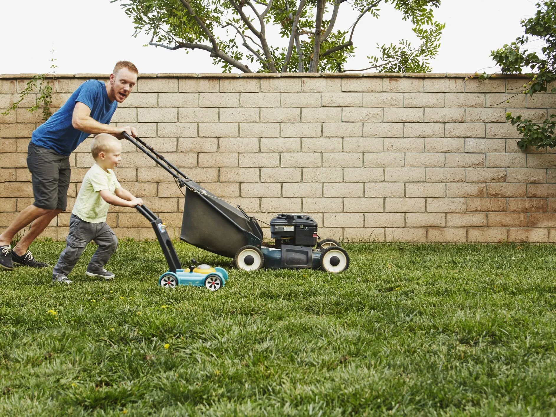 5 Things to Consider Before Mowing The Lawn and Losing a Limb