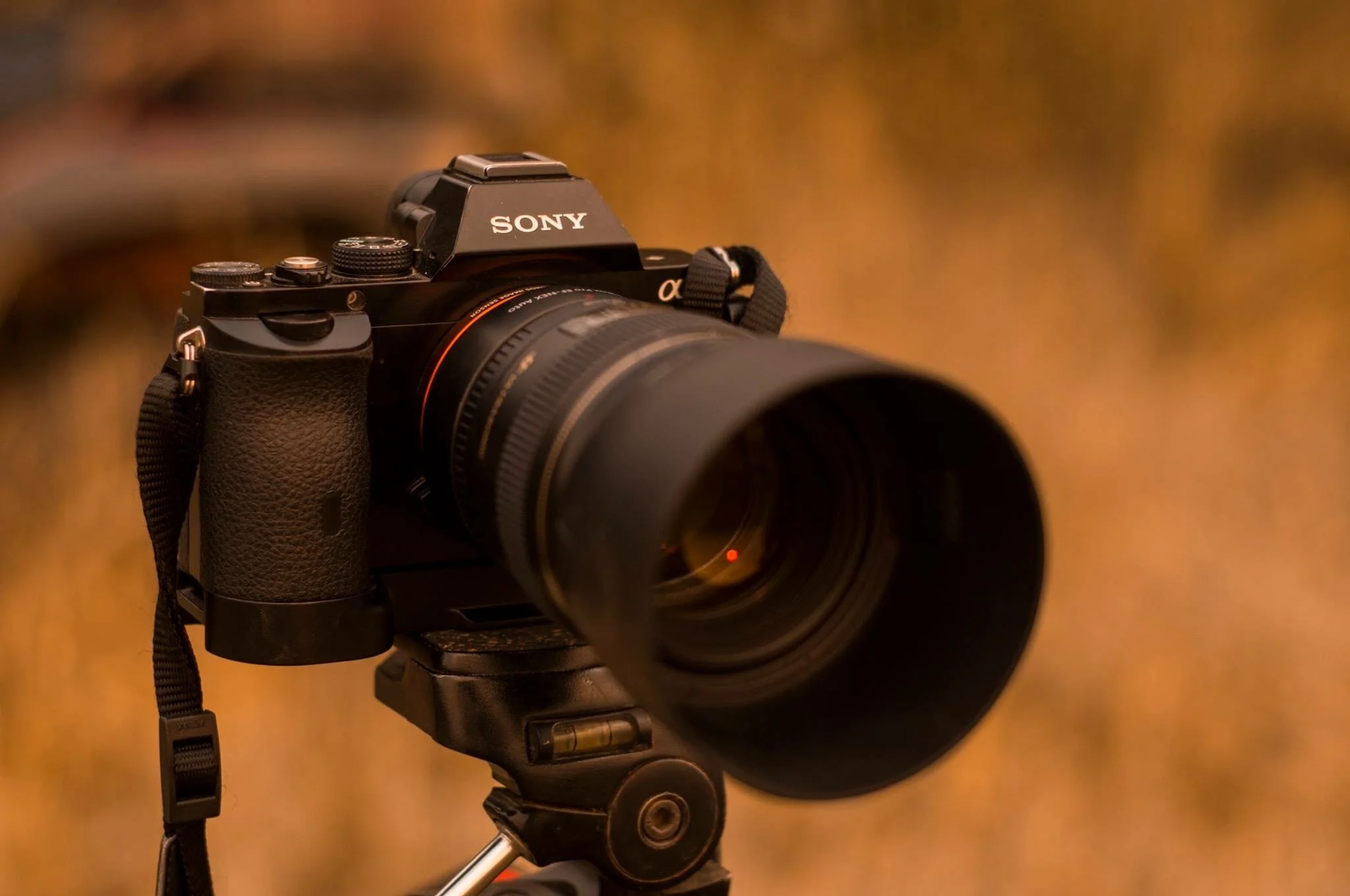 My Sony A7 5 years going strong.