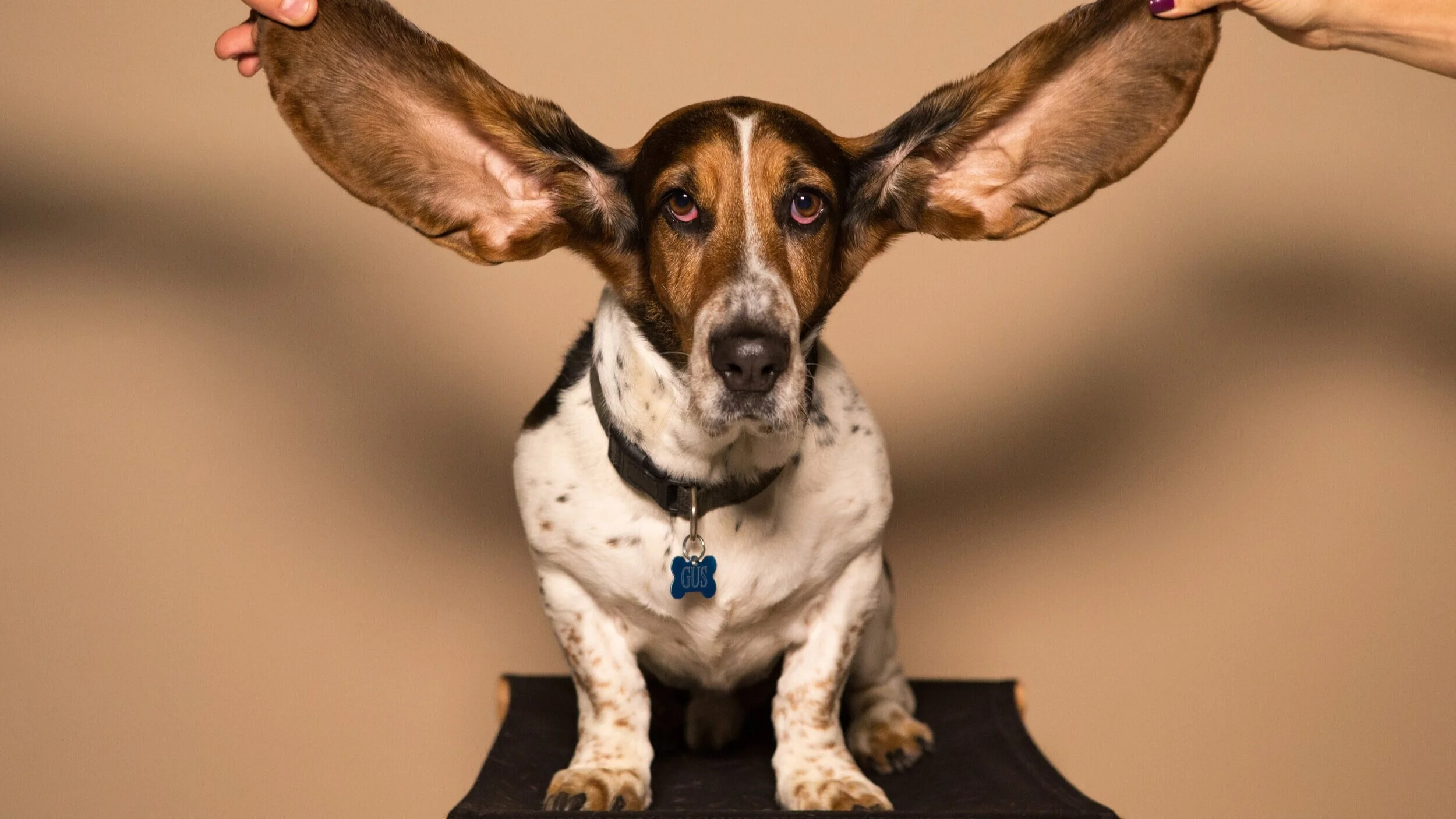 6 Active Listening Tips From StPLC Stephen Ministers