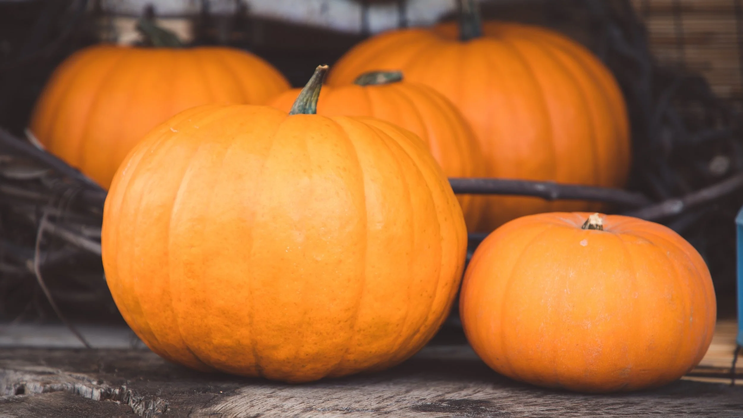Pumpkin Decorating @ StPLC On Saturday, October 31