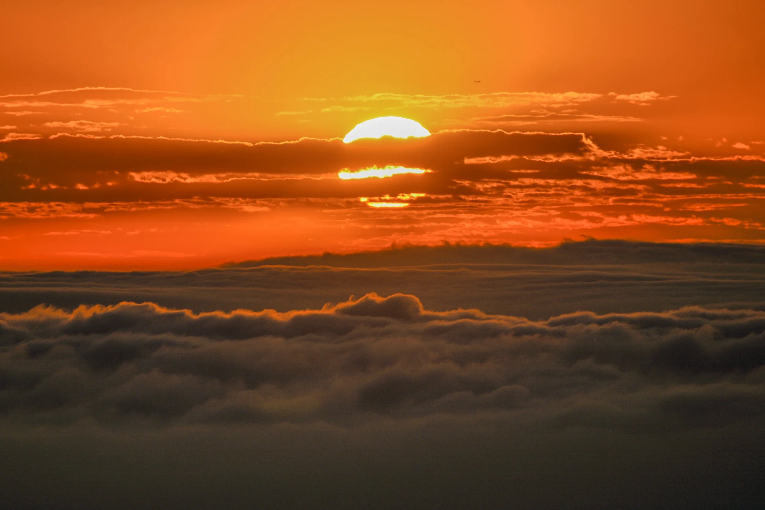 January 29, 2025 StPLC Events Update