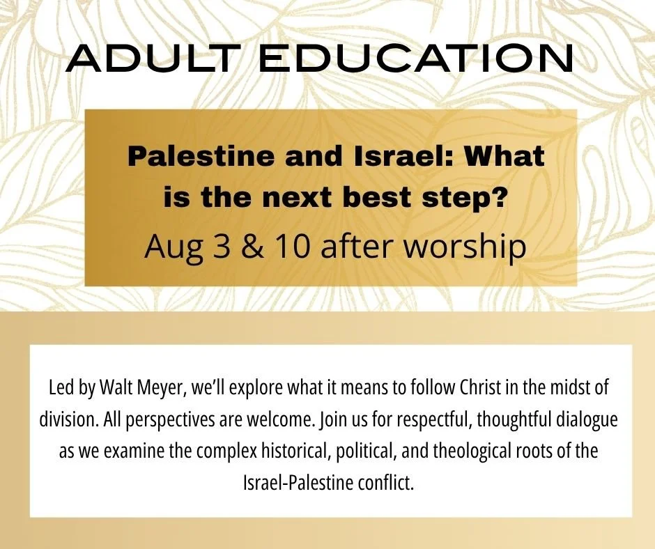 Adult Education: Palestine and Israel, what's the next best step? (part 2)