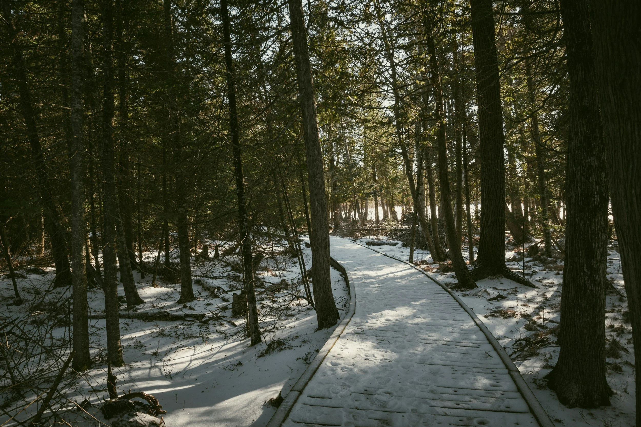 January 28, 2026 StPLC Events Update