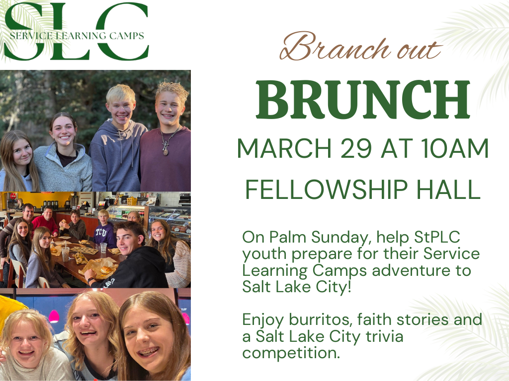 White Simple Palm Sunday Greeting Facebook Post.png