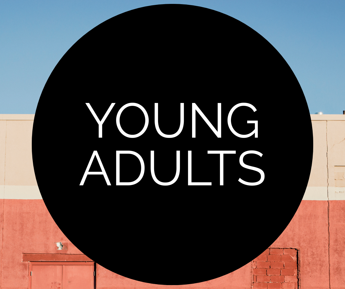 Young Adult Singles