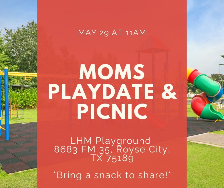 Moms Playdate &amp; Picnic