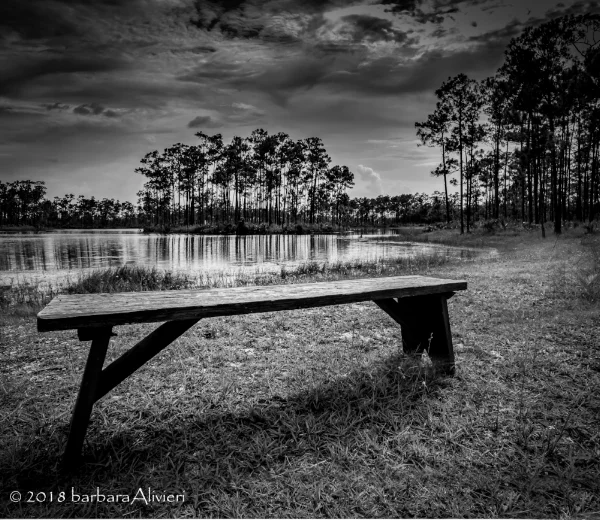 Finished Product, cropped and converted to black & white for effect