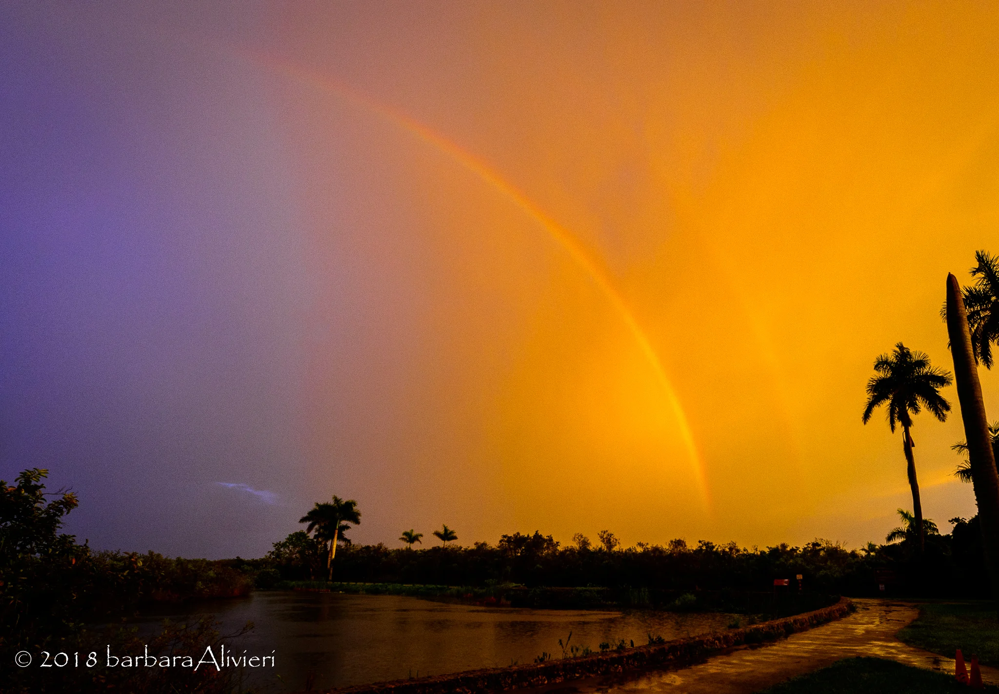 Storm cloud rainbow. Anhinga Trail, Everglades National Park