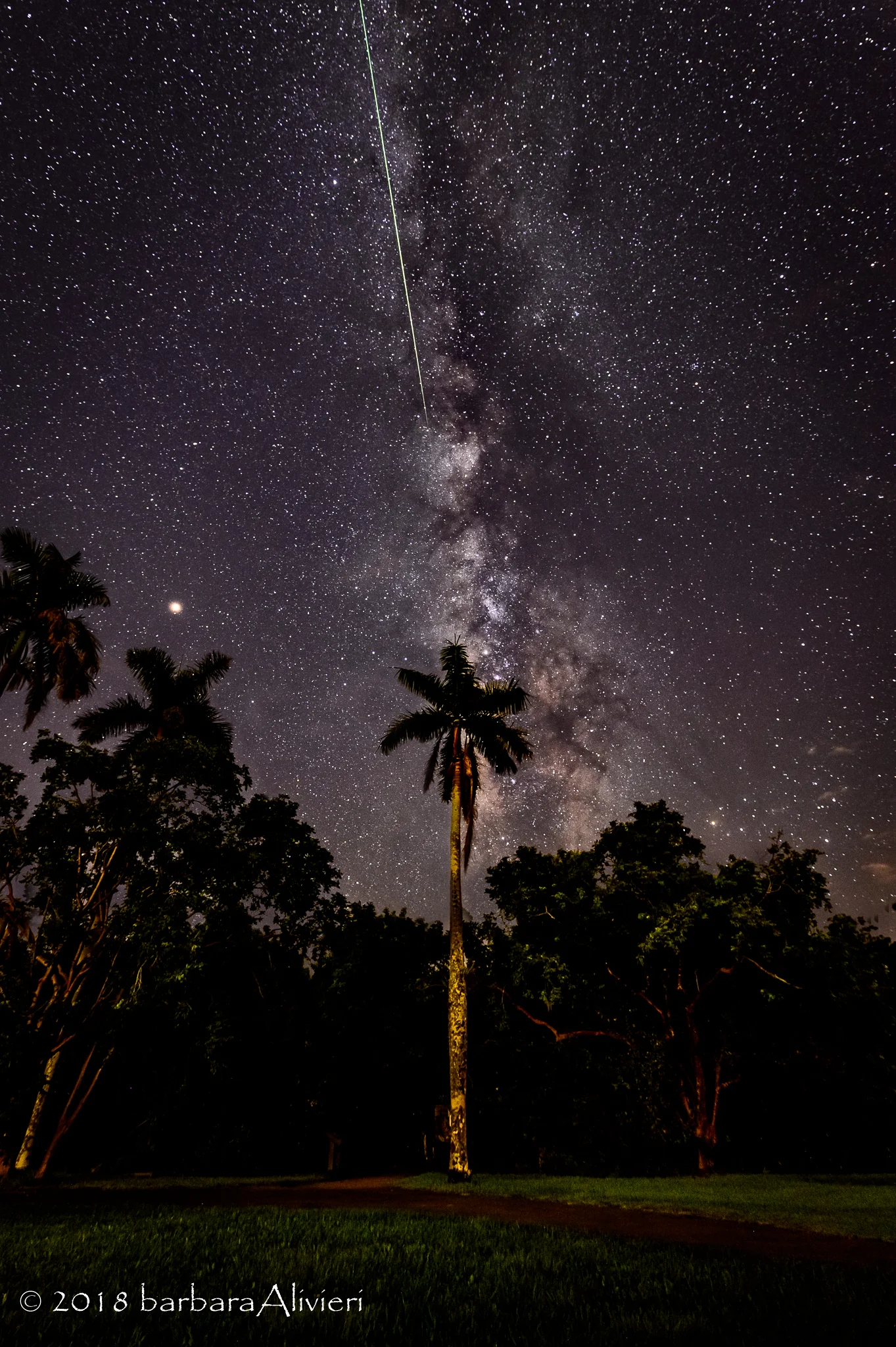 Milky way AND a meteor. Sweet! Anhinga Trail, Everglades National Park