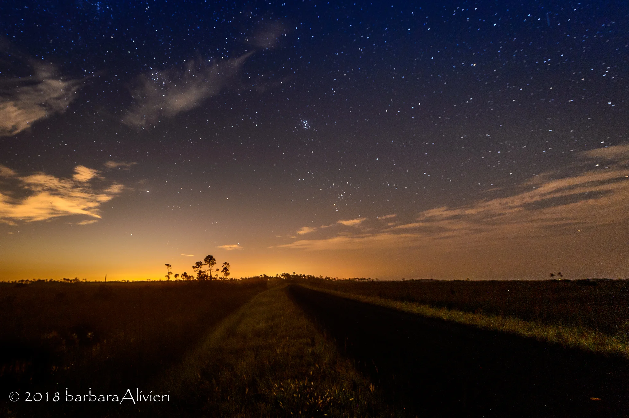 Mahoganh Hammock Road, Everglades National Park