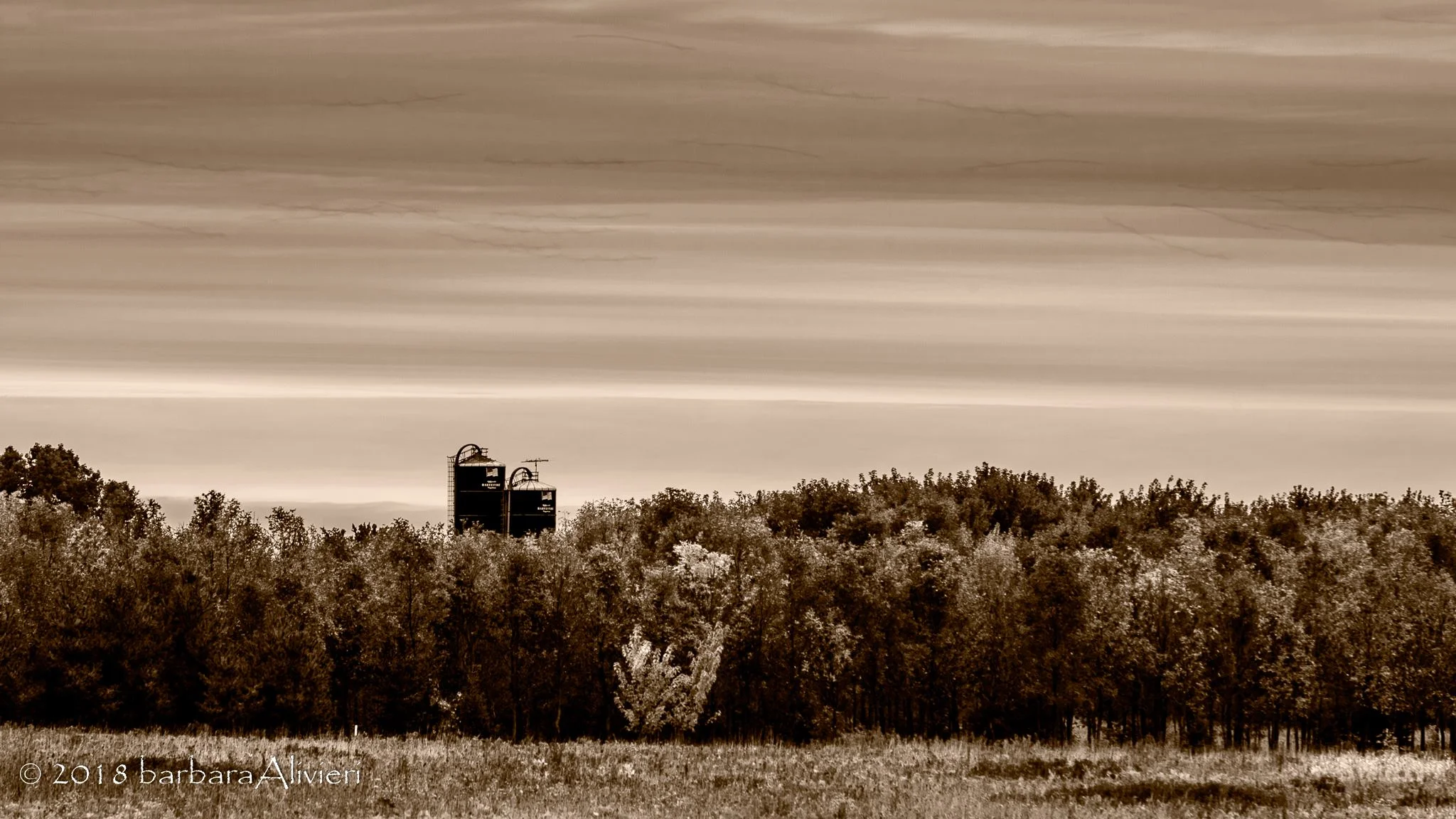 Silos from a farm northeast of where I was staying.