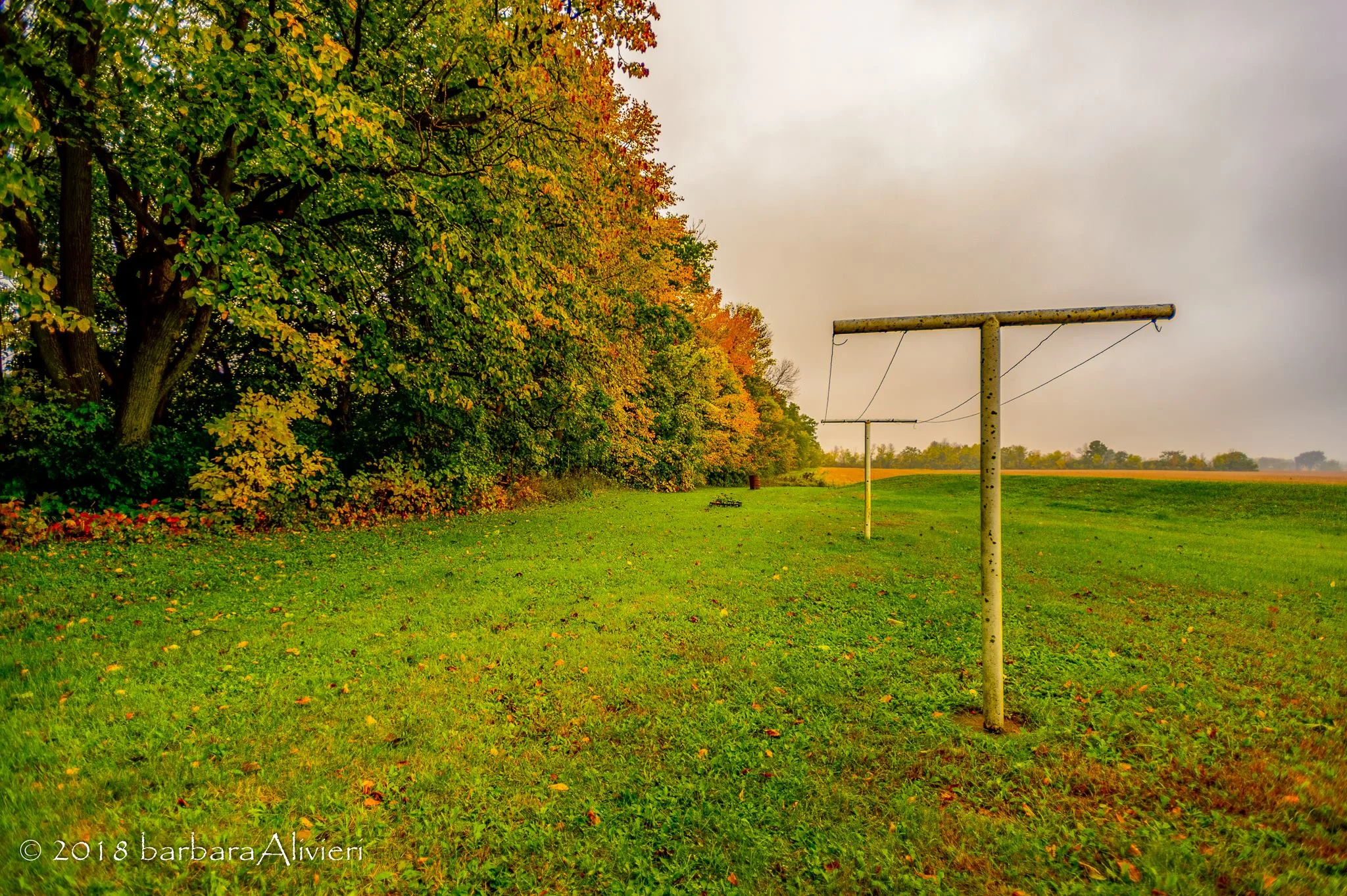 The backyard.