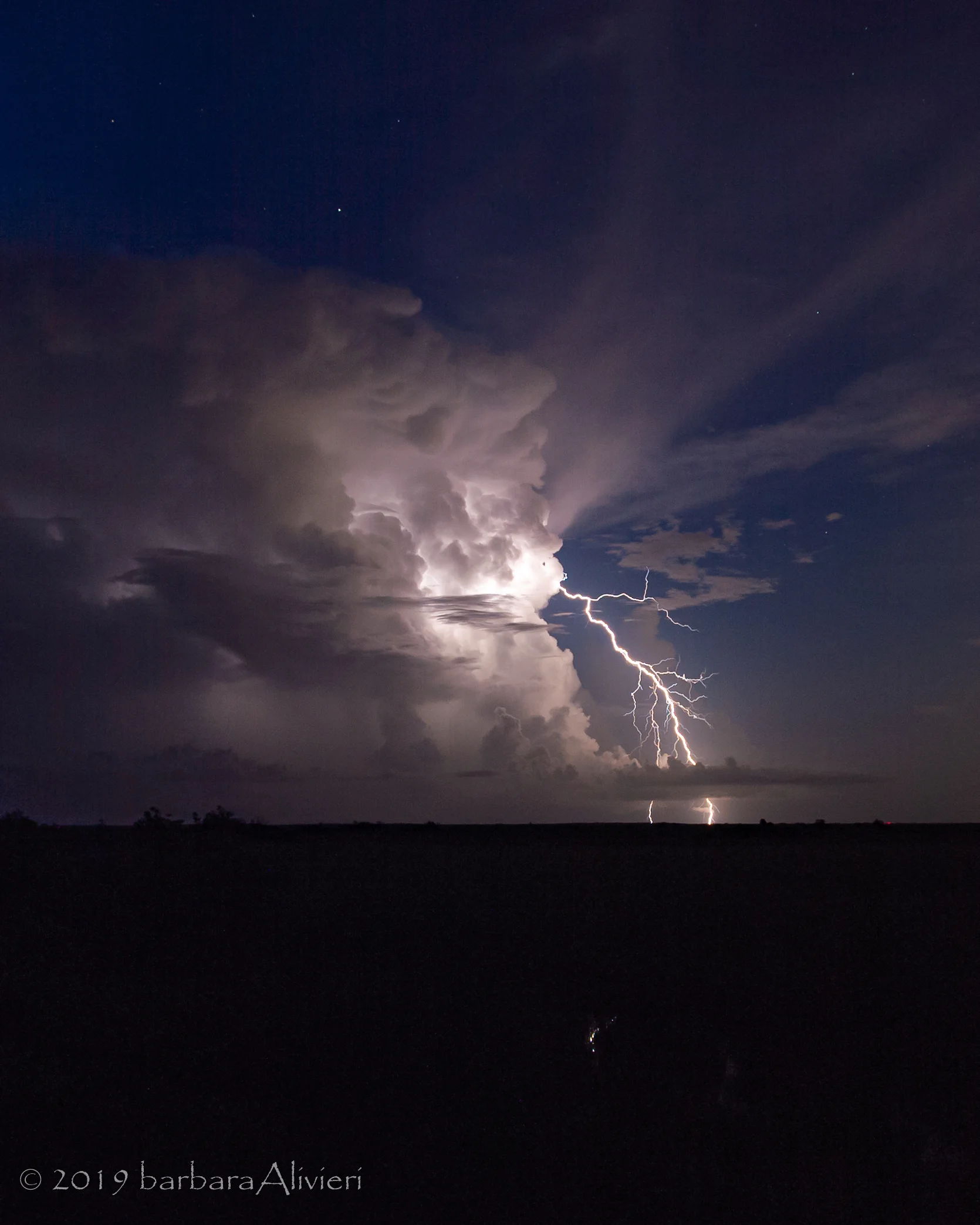 North facing storm cell with lightning and step-leaders.