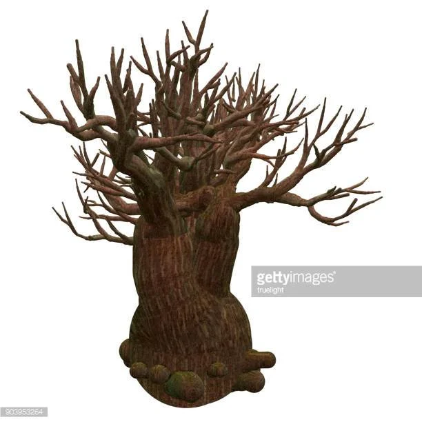 Carcassi Prelude in G Major