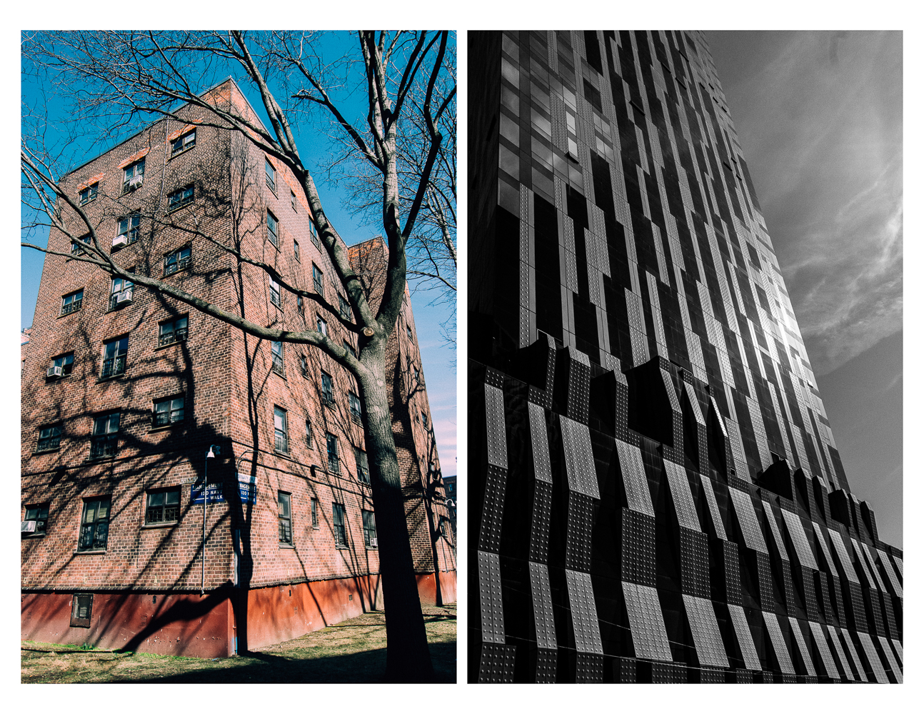 liam_diptych04.jpg