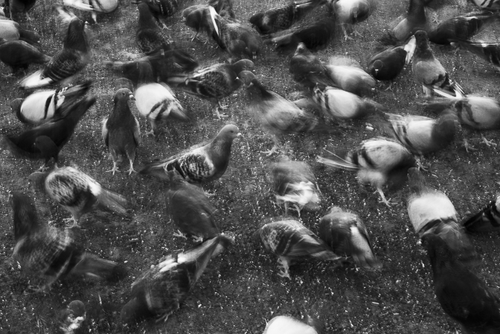 Oliver Rothman