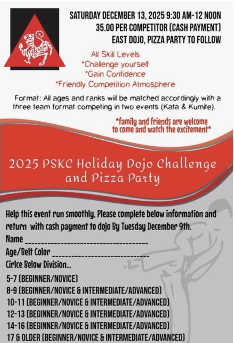 Holiday Dojo Challenge &amp; Party