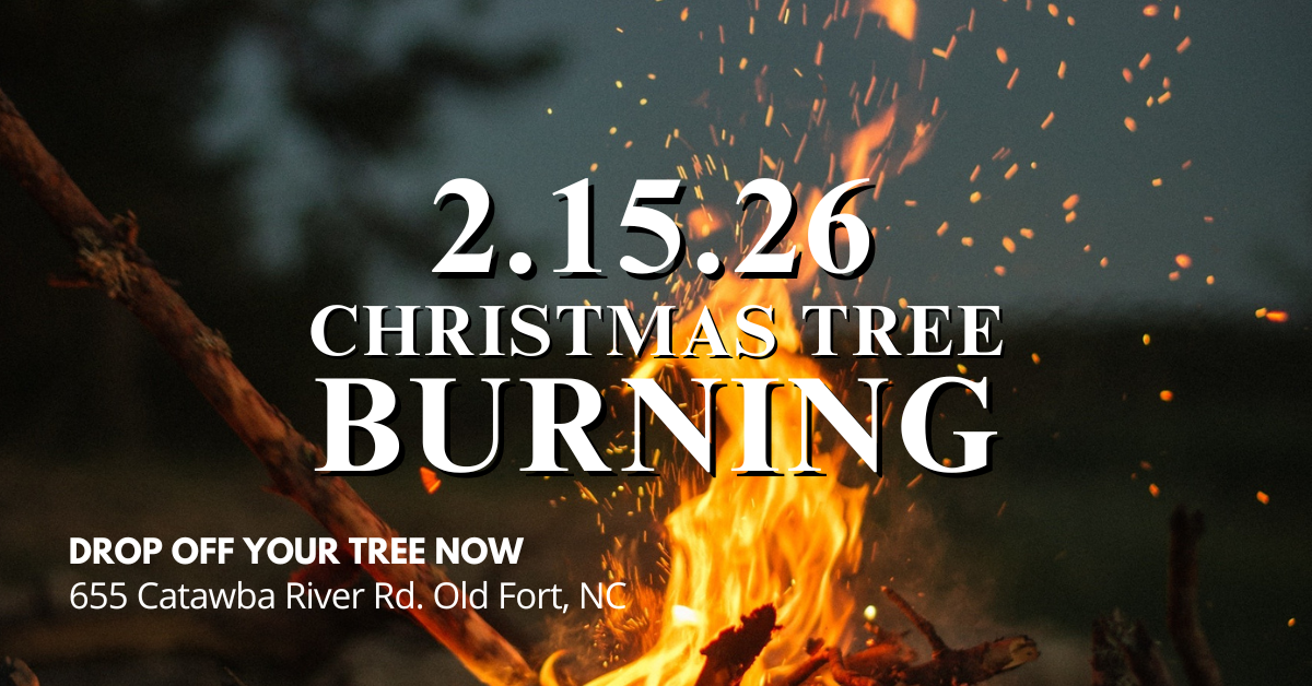 Christmas Tree Burning