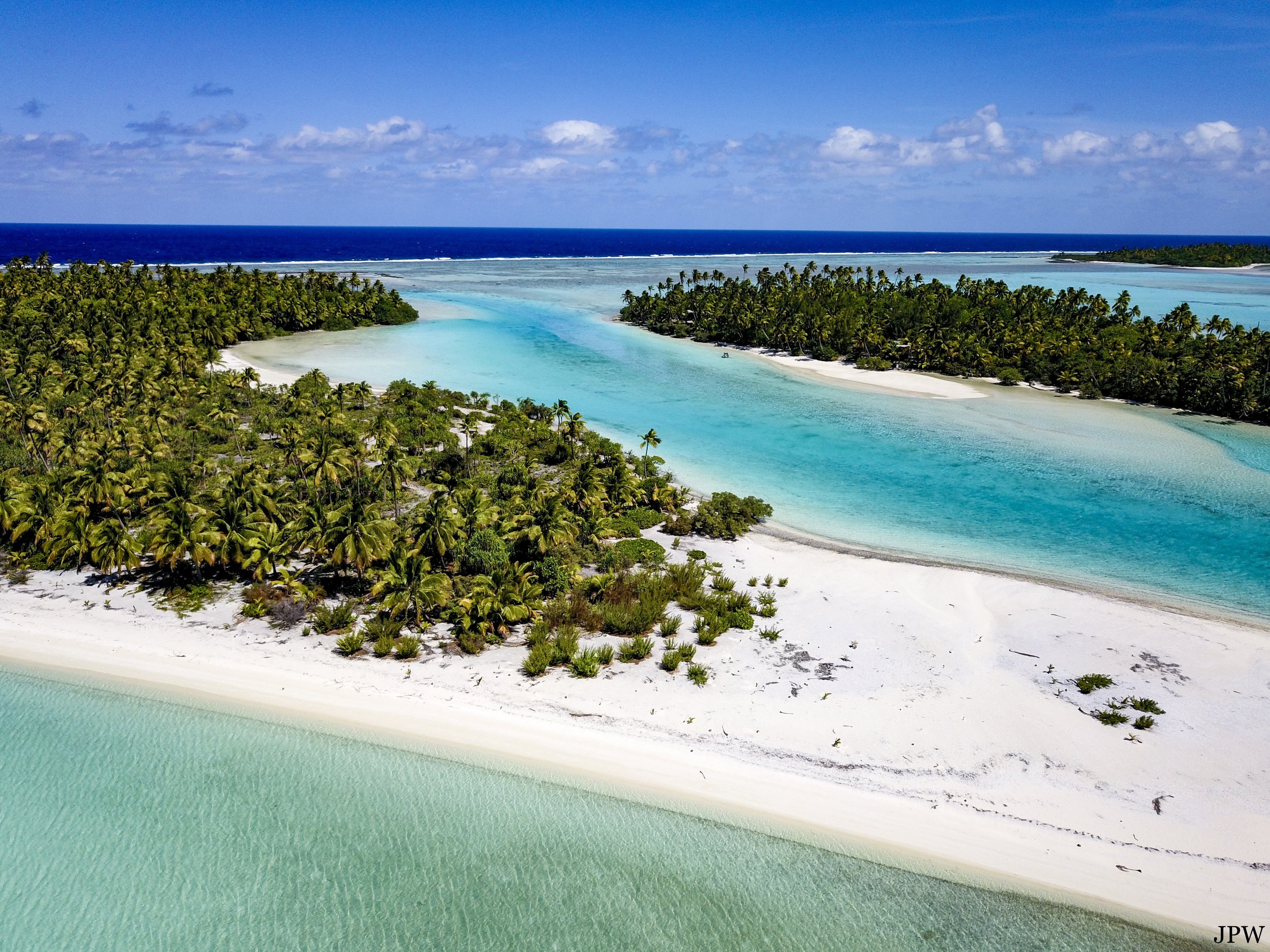 Aitutaki Sand and Trees