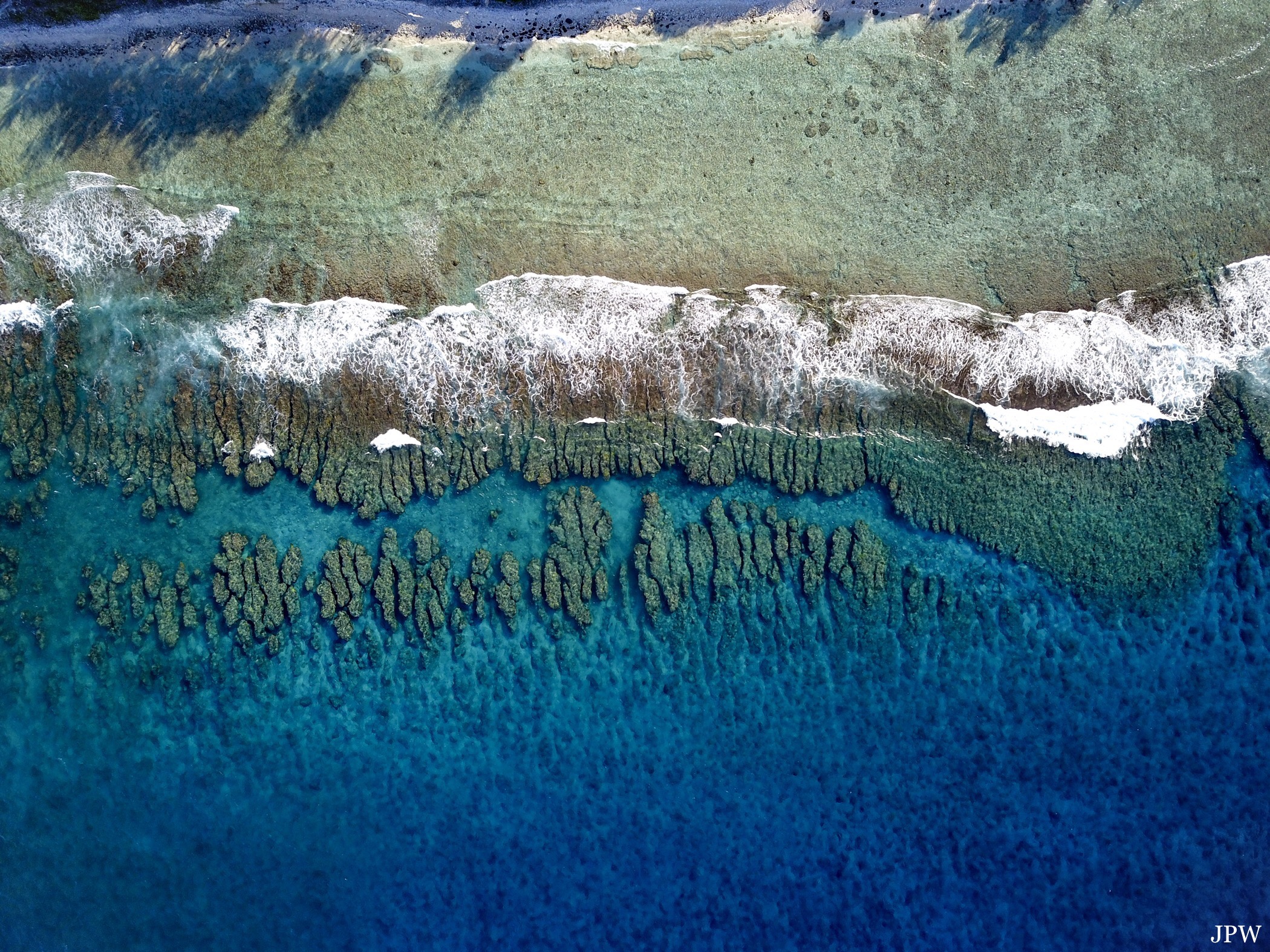 Rarotonga Edge of Reef